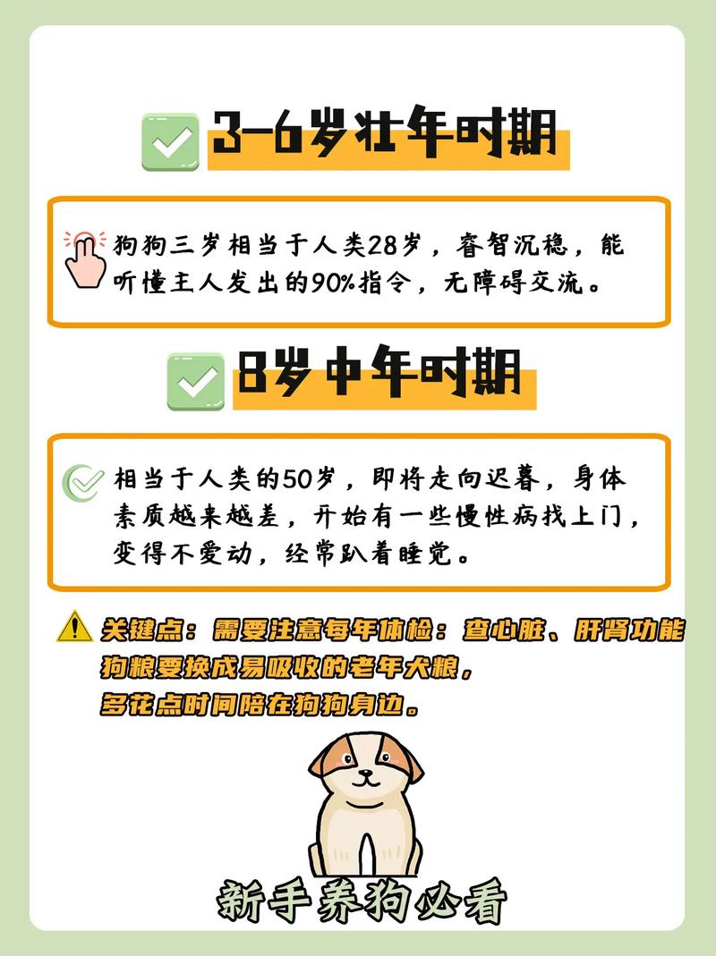 标题：养宠必知的十点知识，主人照顾爱犬需注意细节，别因疏忽而懊悔