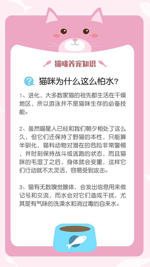 标题：养宠物的请看过来，这些知识你要知道……