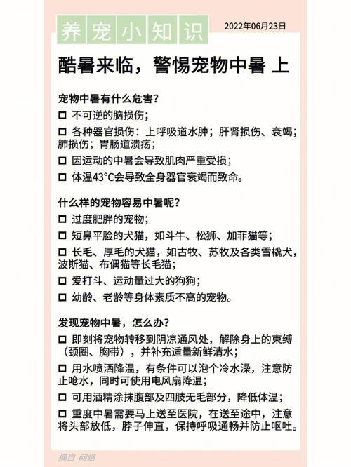 标题：一位养宠达人的心得 你想知道的养宠知识都在这里了！