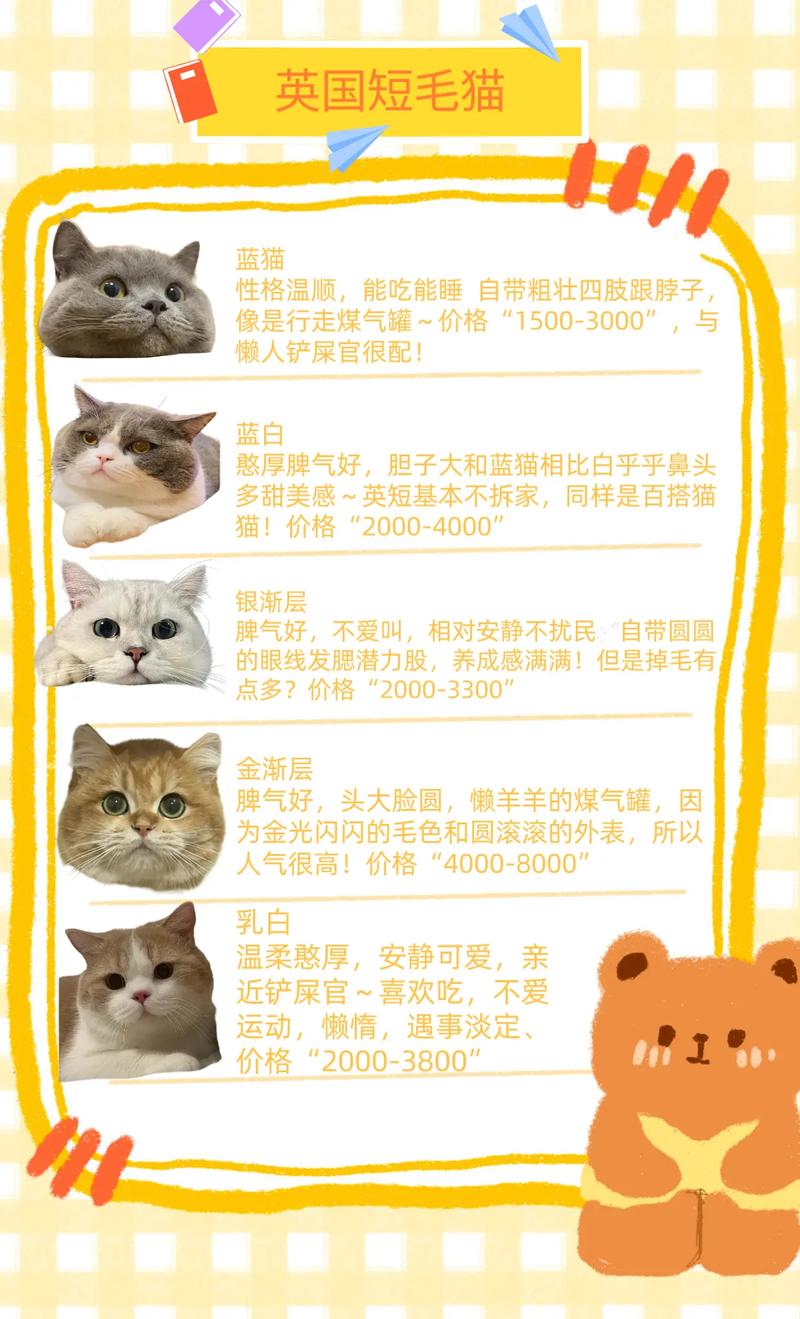 标题：常见宠物猫大全：价格、分类、简介