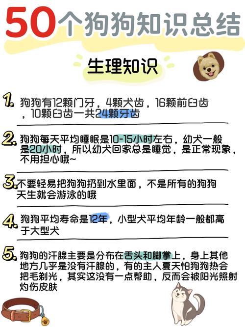 标题：总结了18条养狗小知识！都是干货